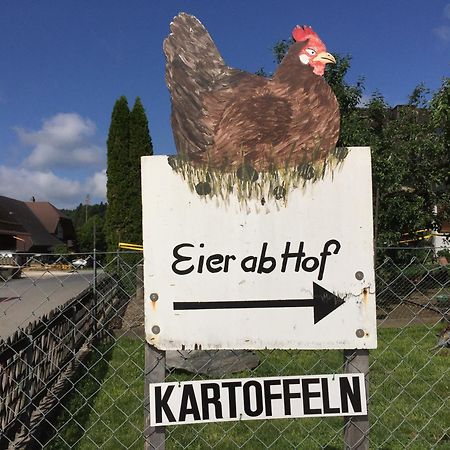 "Zur Alten Schmiede", 70M2 Studio Mit Kaminfeuer Und Sauna Fraubrunnen Exteriör bild